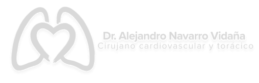 Logo Dr. Alejandro Navarro Vidaña
